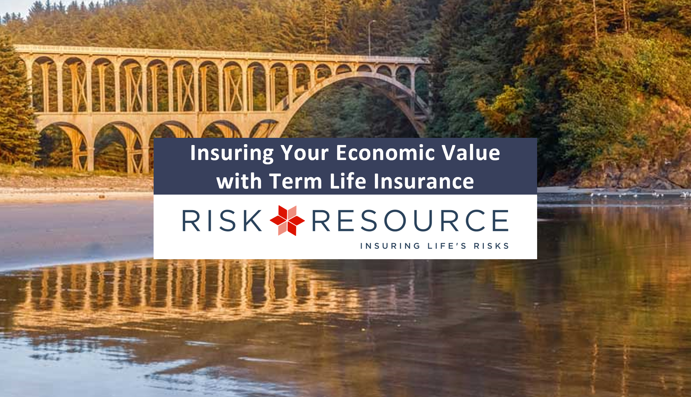 Bridge, Risk Resource title